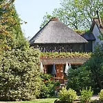 Le Petit Coq Aux Champs - Teritoria