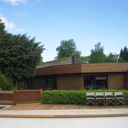 Le Petit Coq Aux Champs - Teritoria