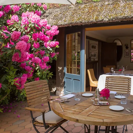 Le Petit Coq Aux Champs - Teritoria Campigny