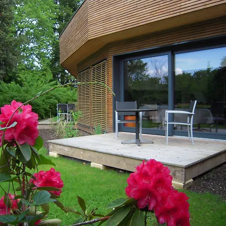 Le Petit Coq Aux Champs - Teritoria