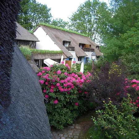 Le Petit Coq Aux Champs - Teritoria 4*