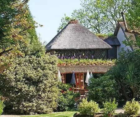 Le Petit Coq Aux Champs - Teritoria