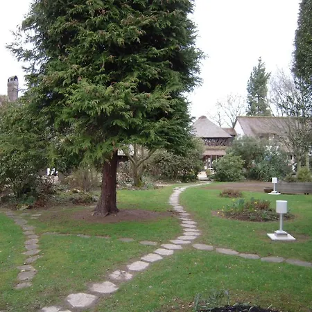 Le Petit Coq Aux Champs - Teritoria