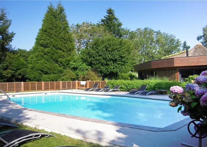 Le Petit Coq Aux Champs - Teritoria