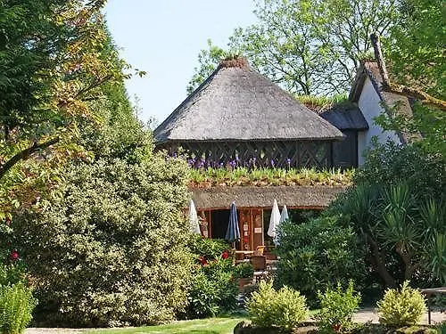 Le Petit Coq Aux Champs - Teritoria