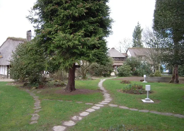 Le Petit Coq Aux Champs - Teritoria